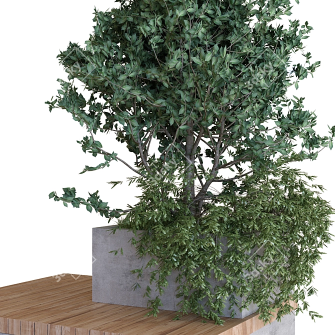 Nature's Oasis: Plant Tree Set 3D model image 3