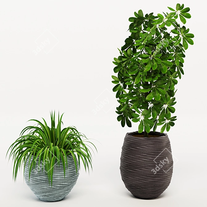 Green Paradise: Assorted Decorative Indoor Plants 3D model image 3