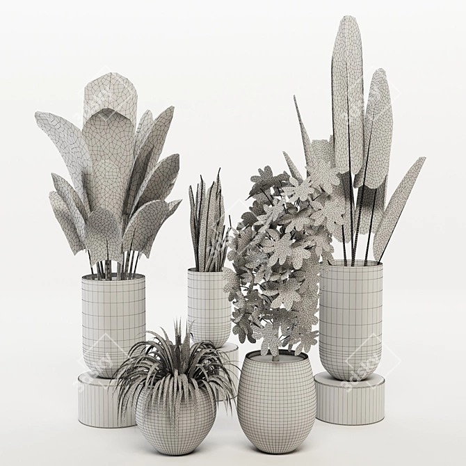 Green Paradise: Assorted Decorative Indoor Plants 3D model image 5