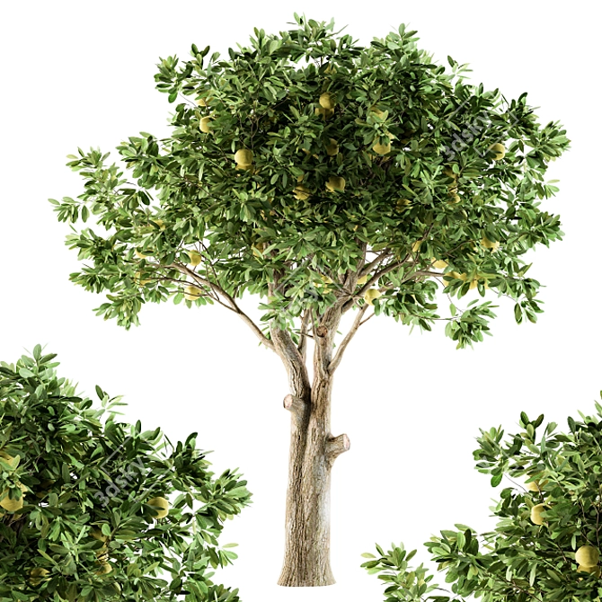 Lush Lemon Grove - Complete Set 3D model image 1