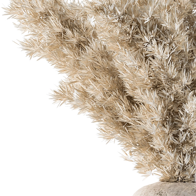 Pampas Dried Plants - Rustic Elegance 3D model image 2