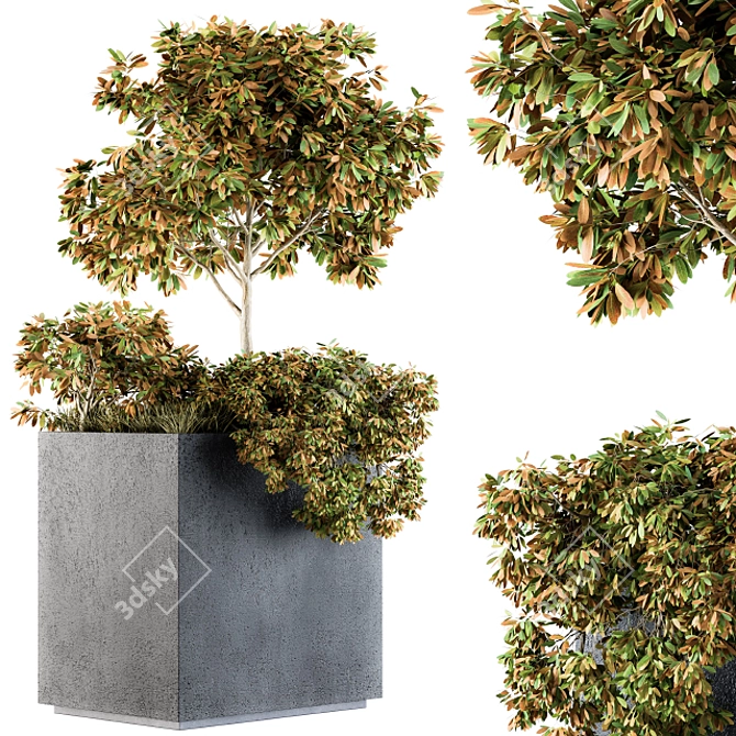 Concrete Box 98: Outdoor Plants 3D model image 1