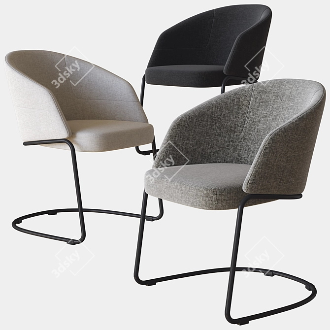 Central Park Chair: Sleek Design by Ditre Italia 3D model image 1