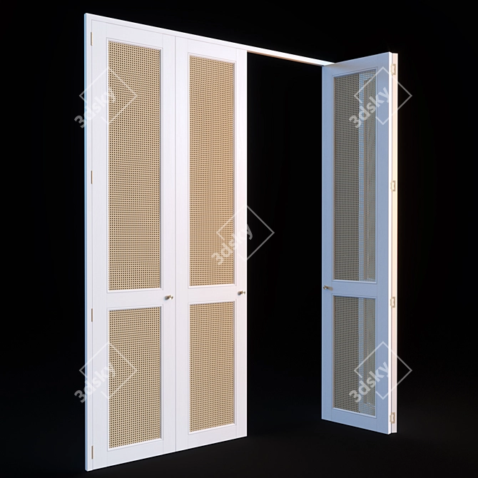 Stylish Rattan Door Set 3D model image 3