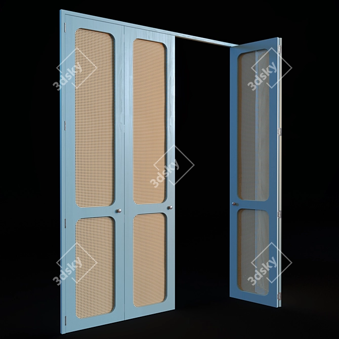 Stylish Rattan Door Set 3D model image 4