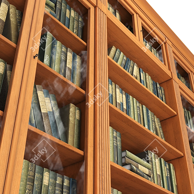 Elegant DIRETTORIO Library Cabinet 3D model image 5