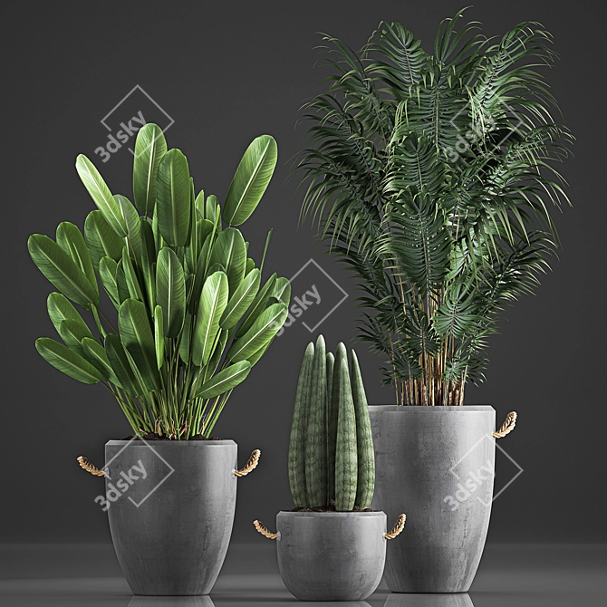 Tropical Plant Collection in Concrete Pots 3D model image 1