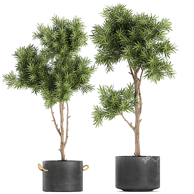 Exotic Plant Collection in Black Vase 3D model image 4