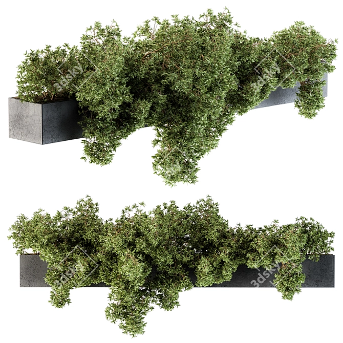  Hanging Garden: Outdoor Plant Set 3D model image 1