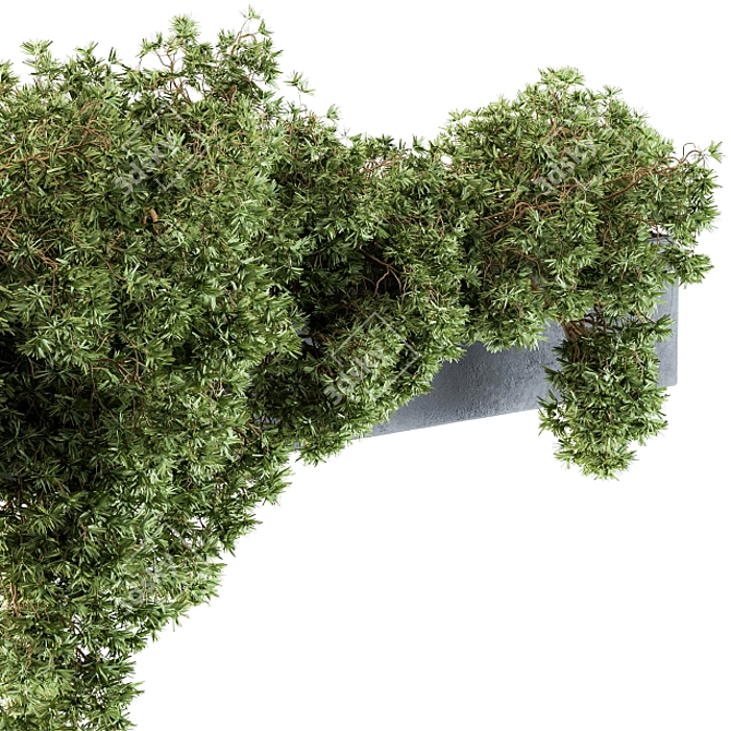  Hanging Garden: Outdoor Plant Set 3D model image 2