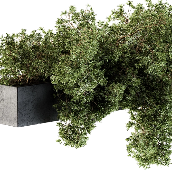  Hanging Garden: Outdoor Plant Set 3D model image 3