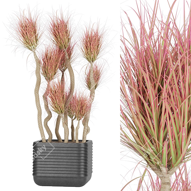 Botanical Bliss: Collection Plant Vol. 9 3D model image 2