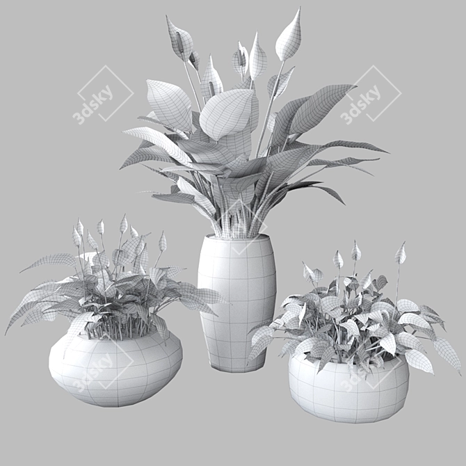 Elegant Peace Lily Plant 3D model image 2