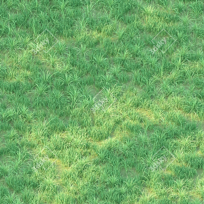  Shaded Tree Grass: Corona Render 3D model image 2