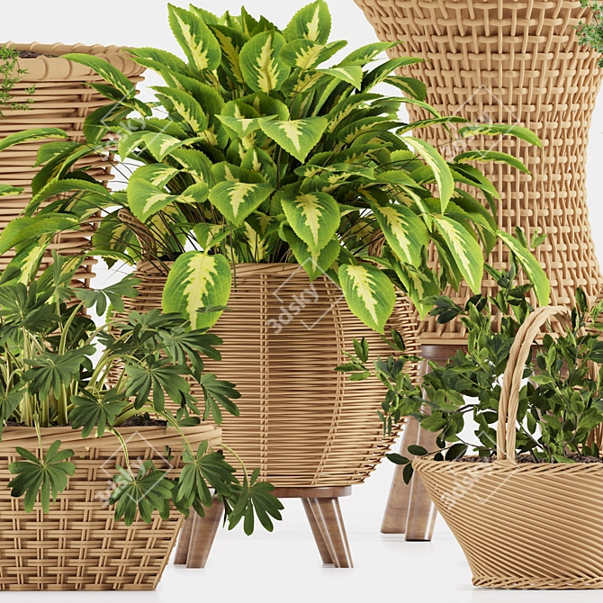 Tropical Plant Collection: Exotic Decor for Interiors 3D model image 3