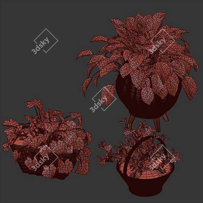 Tropical Plant Collection: Exotic Decor for Interiors 3D model image 6