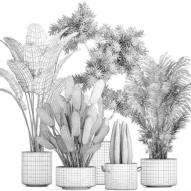 Tropical Plant Collection: Exotic Decor for Indoors & Out 3D model image 5