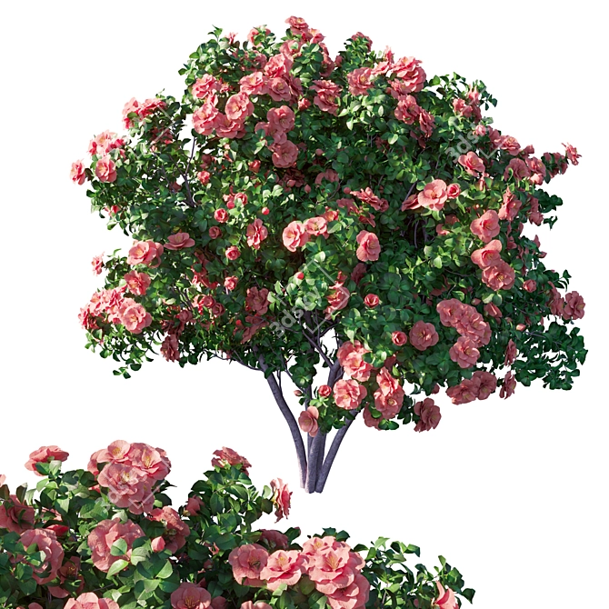 Camellia 5 - Stunning 3D Model 3D model image 1