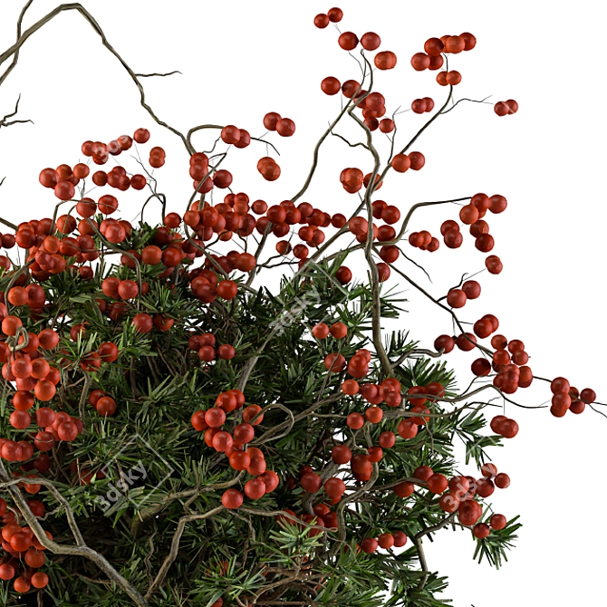 Festive Pine Berry Bouquet 3D model image 4