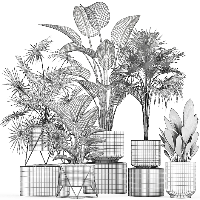 Tropical Plant Collection: Exotic Palms & Fan Palms 3D model image 5