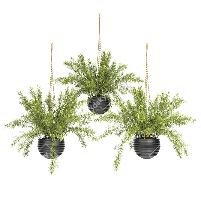Spring Hanging Basket Plants Set 3D model image 1