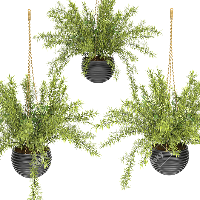 Spring Hanging Basket Plants Set 3D model image 2