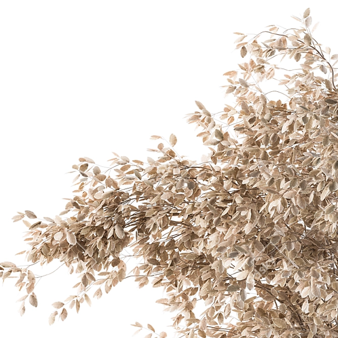 Botanical Bliss: Dried Plant Decor 3D model image 3