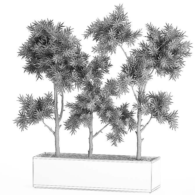 Exotic Tropical Plant Collection 3D model image 5