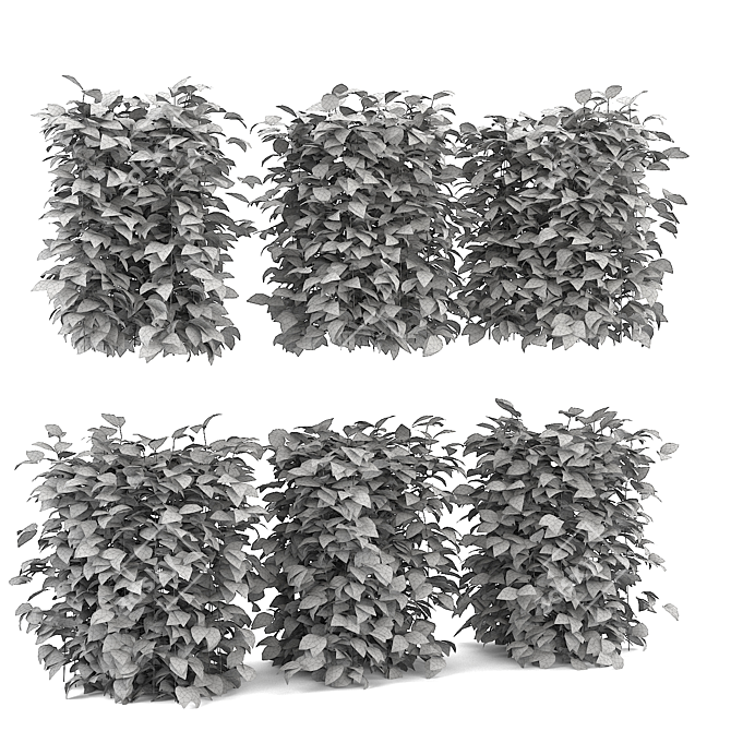 Luscious Raspberry Bushes 3D model image 3