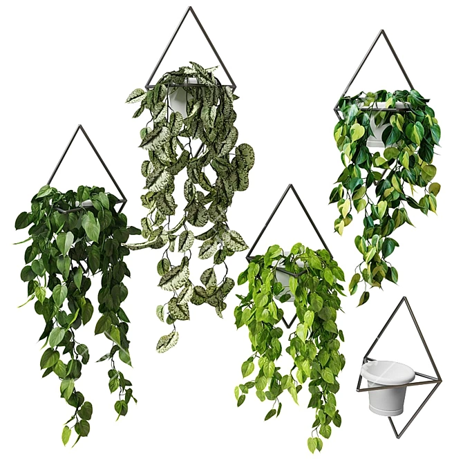Hanging Greenery: Wall-Mounted Pots 3D model image 1