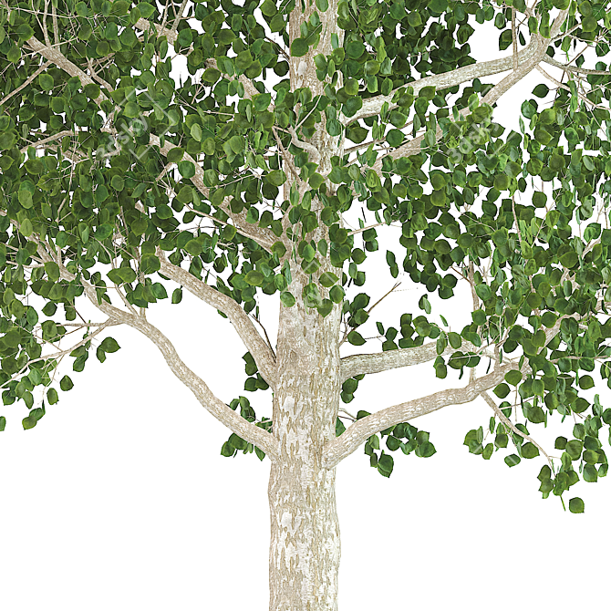 Natural Birch Tree Decoration 3D model image 3
