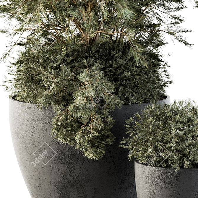 100Pcs Outdoor Plants in Concrete Pots 3D model image 4