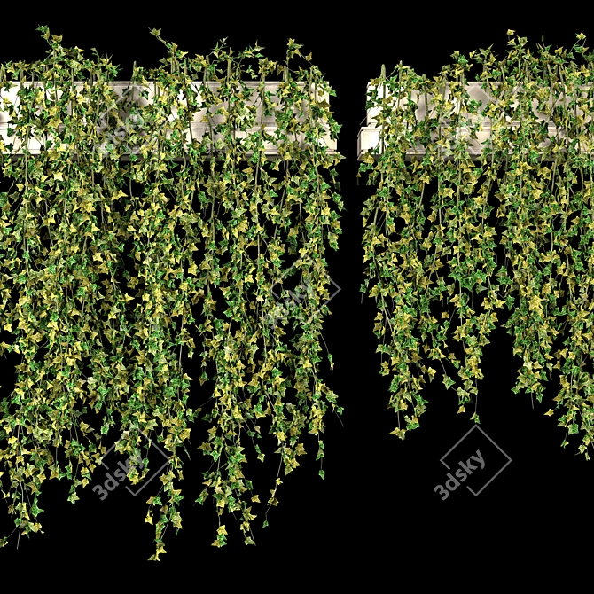 Lush Ivy Set for 3Dmax 3D model image 2