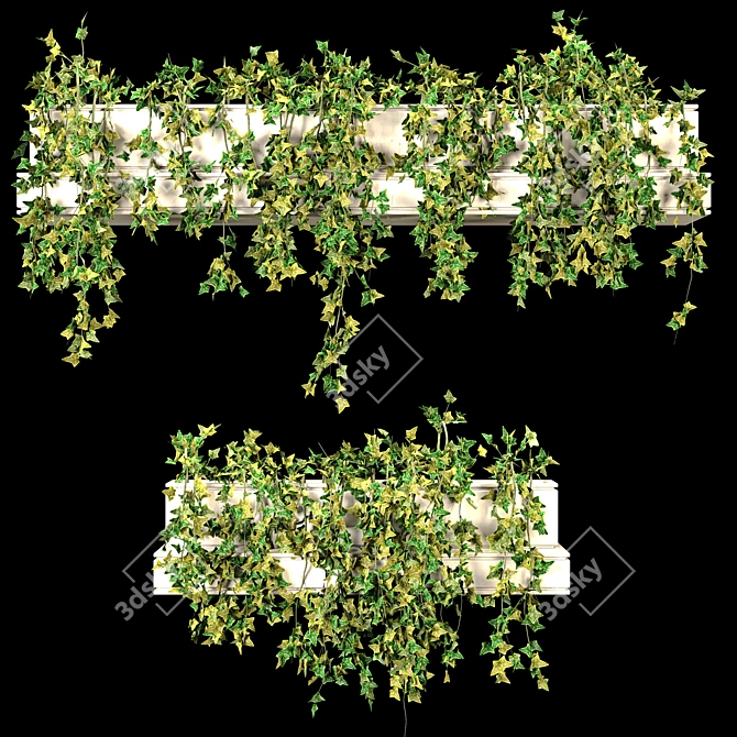 Lush Ivy Set for 3Dmax 3D model image 3