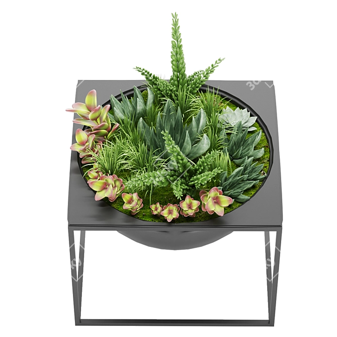 Nature's Delight: Plant Collection Vol. 11 3D model image 4