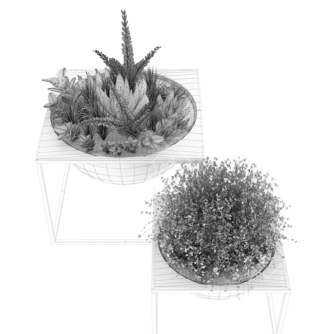 Nature's Delight: Plant Collection Vol. 11 3D model image 5