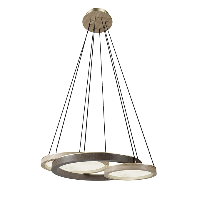 Sculptural Minimalist Ceiling Lamp 3D model image 1