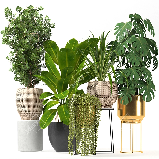 Five Plant Collection: Indoor and Outdoor Ornamental Pots 3D model image 1