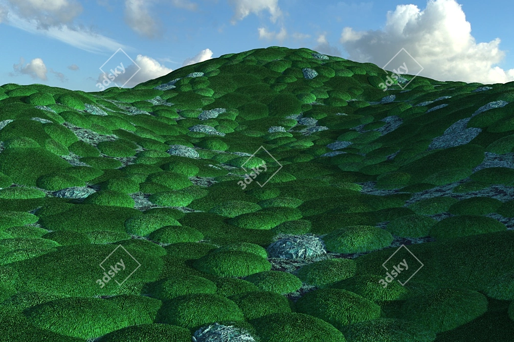 Mossy Forest Seamless Texture 3D model image 2