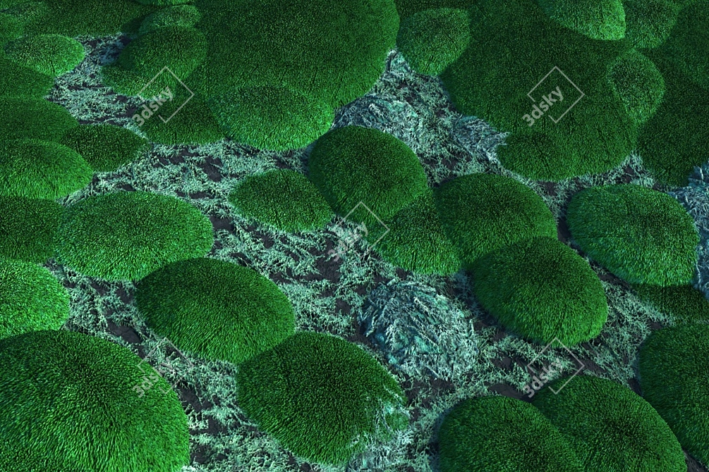 Mossy Forest Seamless Texture 3D model image 4