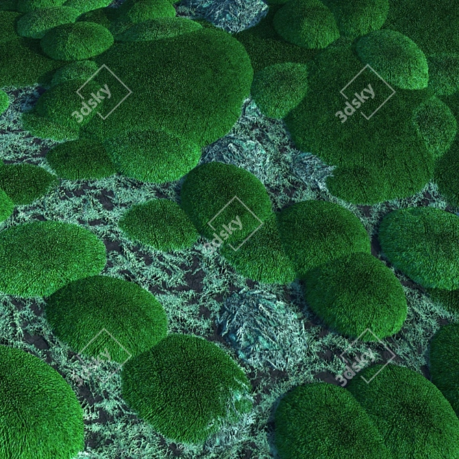 Mossy Forest Seamless Texture 3D model image 7