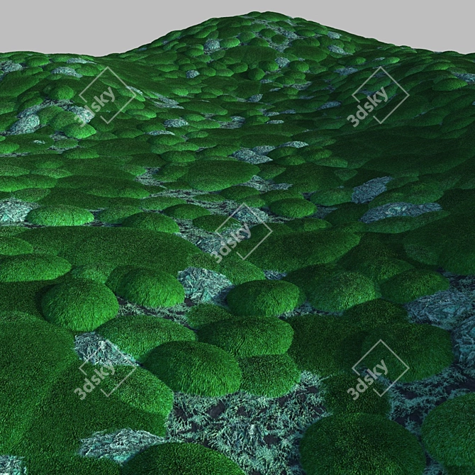 Mossy Forest Seamless Texture 3D model image 8