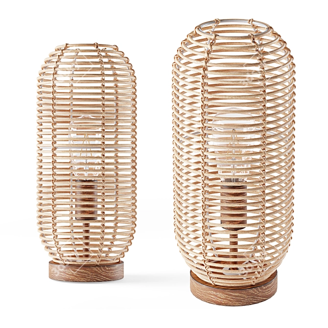 Boho-inspired Rattan Cage Table Lamp 3D model image 1