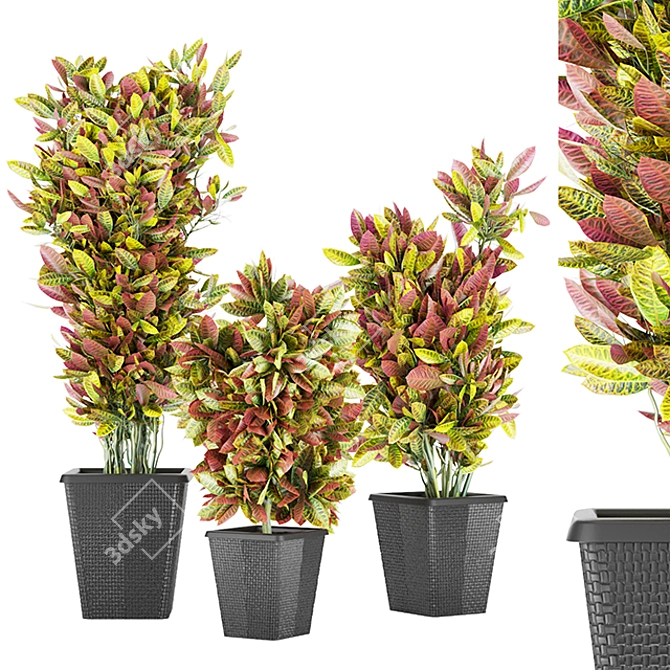 Premium Plant Collection Vol. 12 3D model image 1