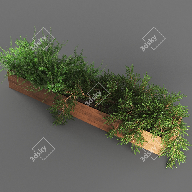 Botanical Essence: Exquisite 667k Poly Plant 3D model image 2