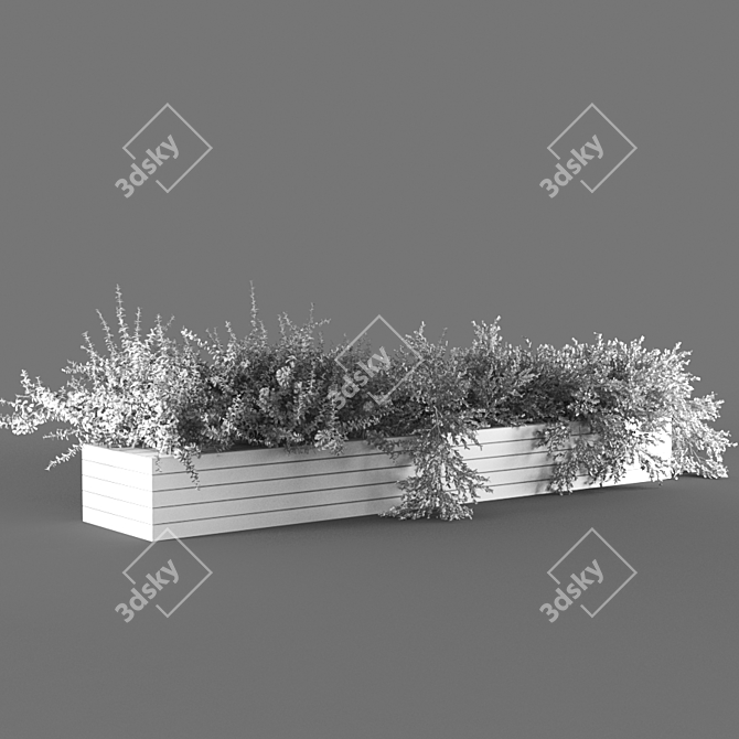 Botanical Essence: Exquisite 667k Poly Plant 3D model image 3