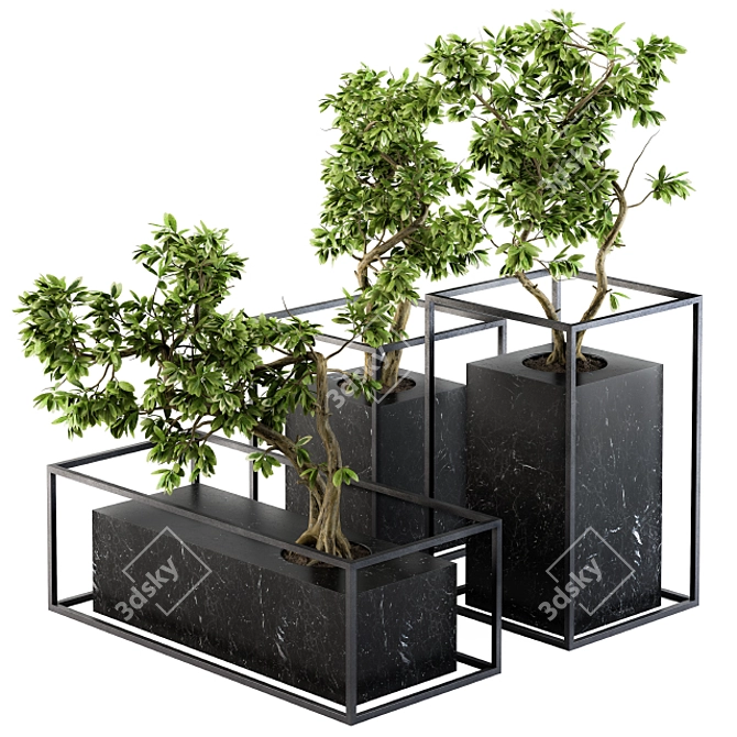 Zen Bonsai Benjamin Set 3D model image 1