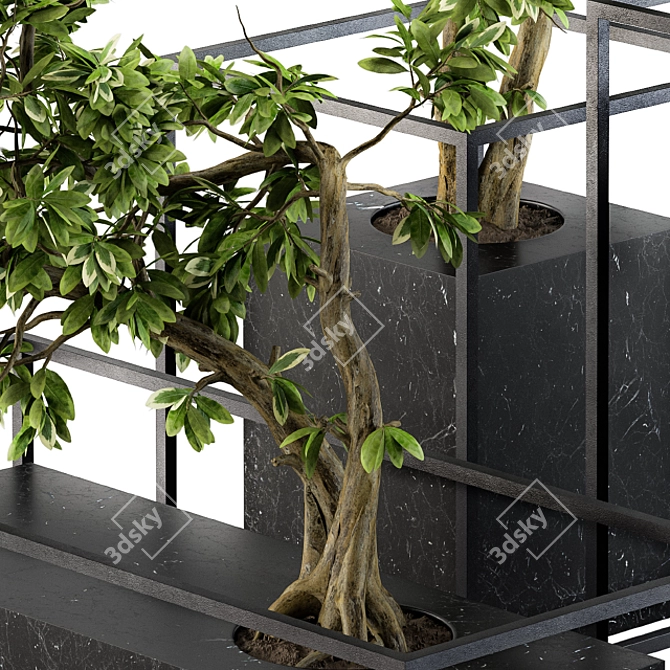 Zen Bonsai Benjamin Set 3D model image 4