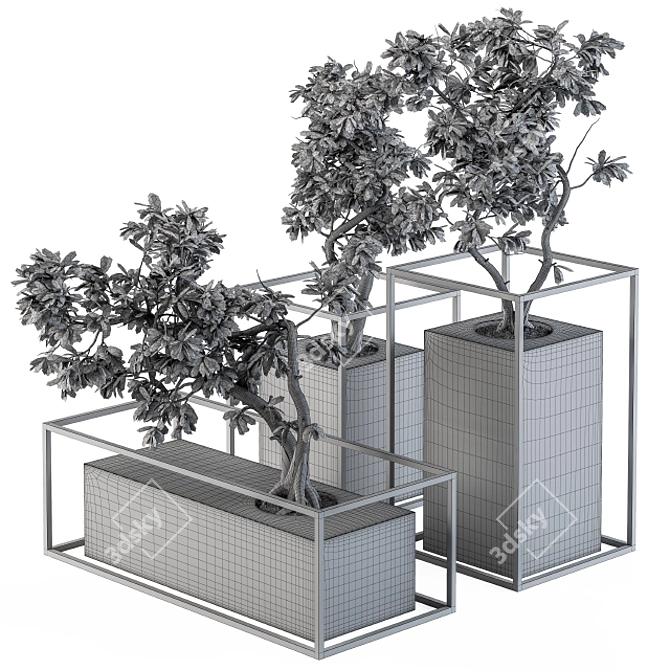 Zen Bonsai Benjamin Set 3D model image 5