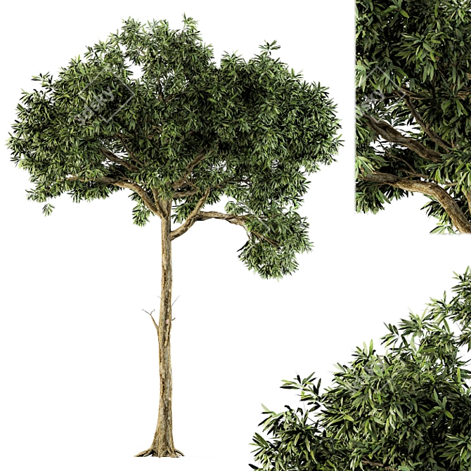 Green Broadleaf Tree Set - 28 3D model image 1